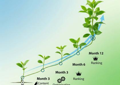 How Long Does It Take for SEO to Take Effect